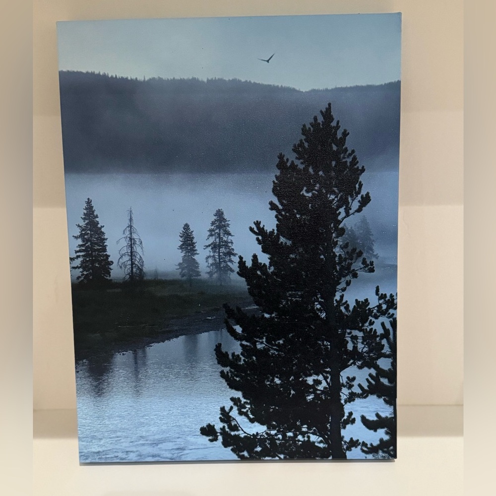 Yellowstone original canvas photo art